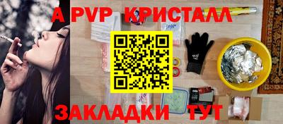 шишки Бийск
