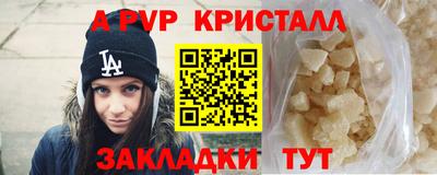шишки Бийск