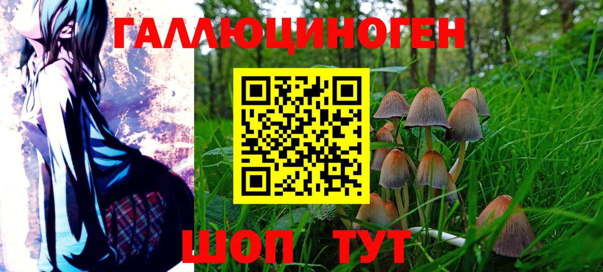 Галлюциногенные грибы Cubensis  где найти   Вход с VPN  Карачаевск  Галлюциногенные грибы мицелий 