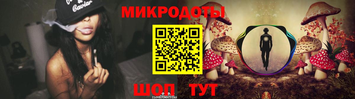 Галлюциногенные грибы Psilocybe Карачаевск